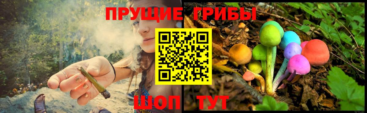 Галлюциногенные грибы ЛСД Ахтубинск